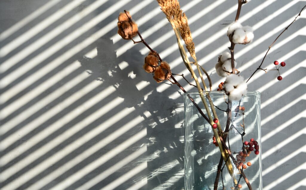 ドライフラワーimage